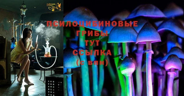 СК Остров