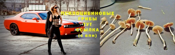 скорость Осташков