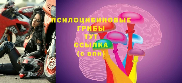 PSILOCYBIN Волосово