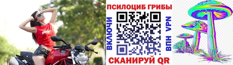 Галлюциногенные грибы прущие грибы  закладки  Зея 