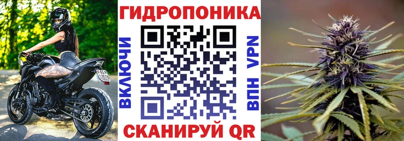Бошки Шишки конопля  где продают   Зея 